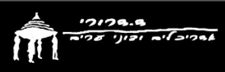 drori-arch.png